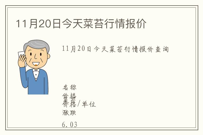 11月20日今天菜苔行情報價