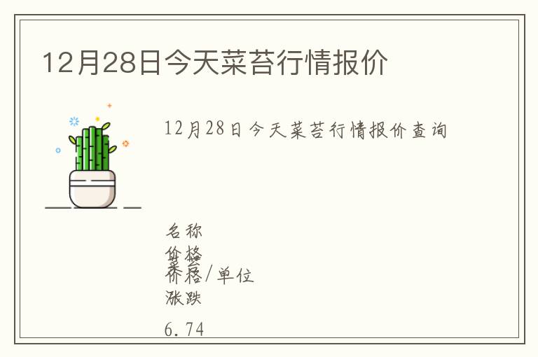 12月28日今天菜苔行情報價