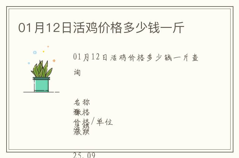 01月12日活雞價格多少錢一斤