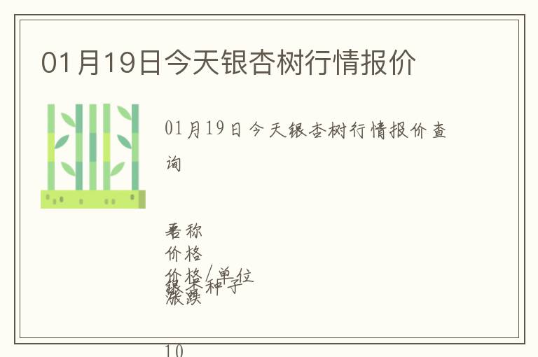 01月19日今天銀杏樹行情報價