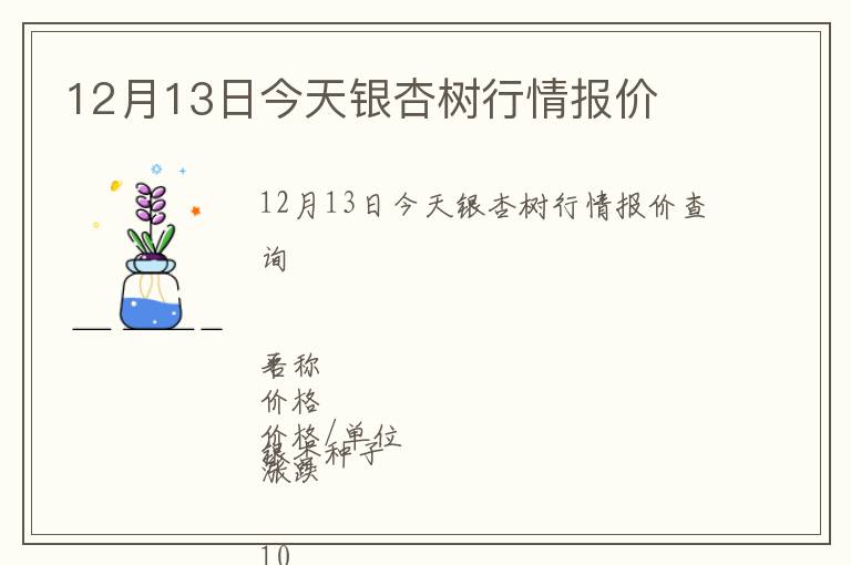 12月13日今天銀杏樹行情報價