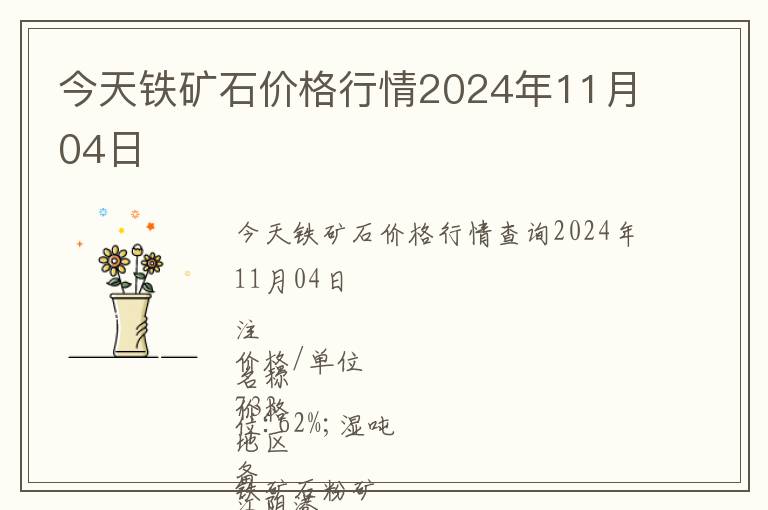 今天鐵礦石價格行情2024年11月04日