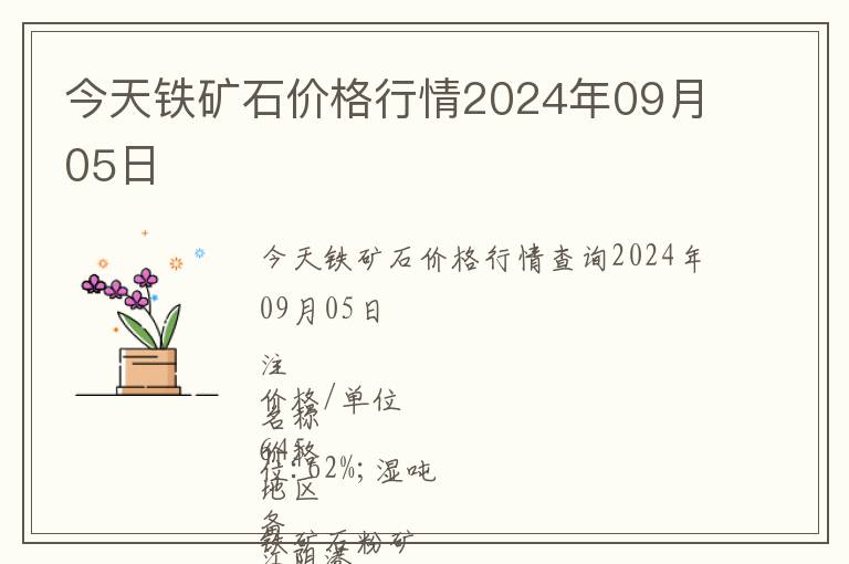 今天鐵礦石價(jià)格行情2024年09月05日