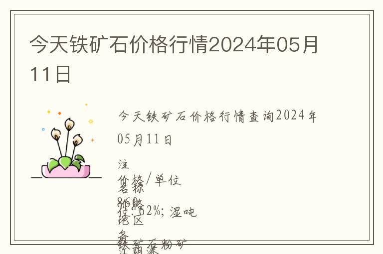 今天鐵礦石價格行情2024年05月11日