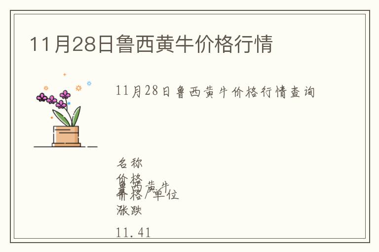 11月28日魯西黃牛價格行情