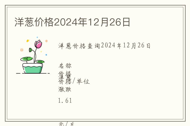 洋蔥價格2024年12月26日