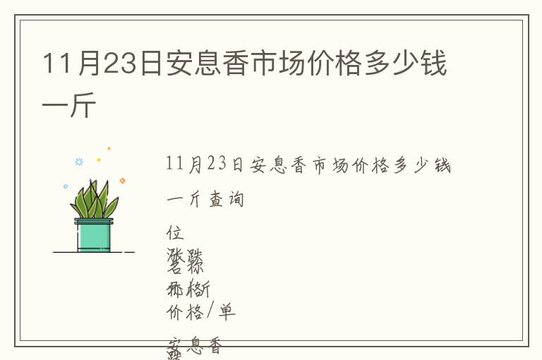 11月23日安息香市場價格多少錢一斤