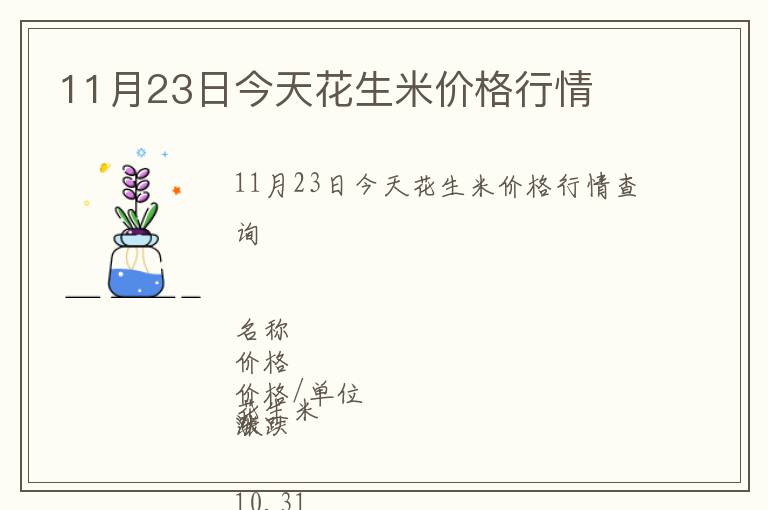 11月23日今天花生米價格行情