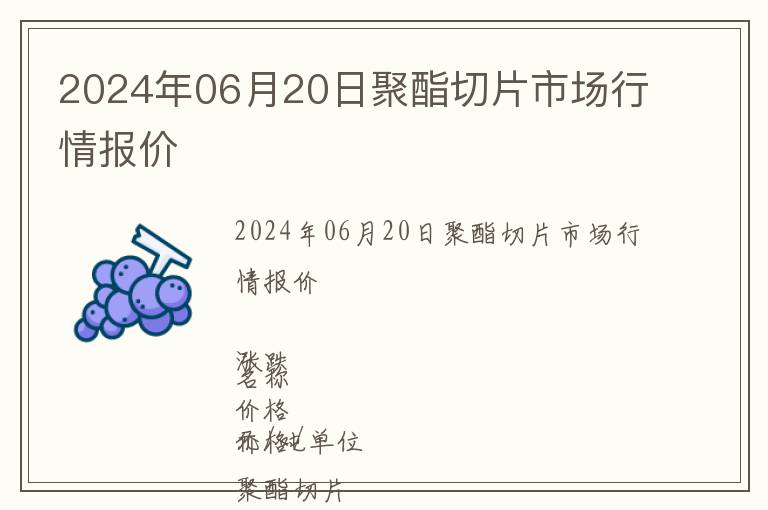 2024年06月20日聚酯切片市場行情報價