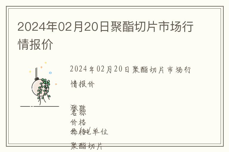 2024年02月20日聚酯切片市場(chǎng)行情報(bào)價(jià)