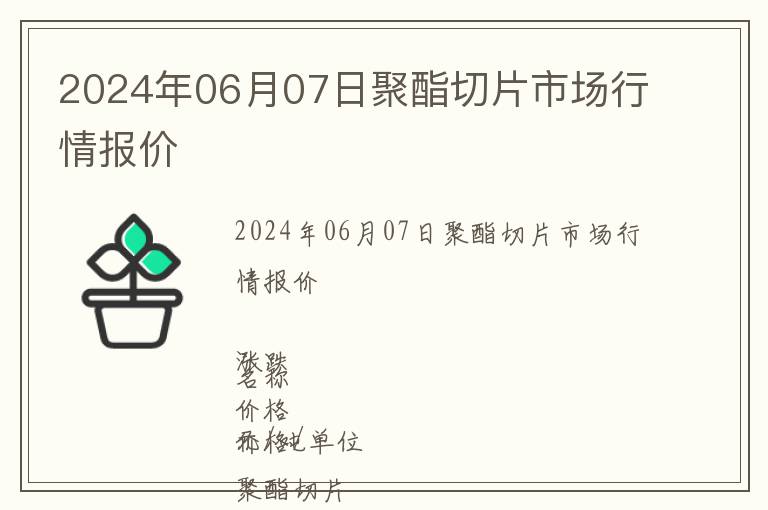 2024年06月07日聚酯切片市場行情報(bào)價(jià)