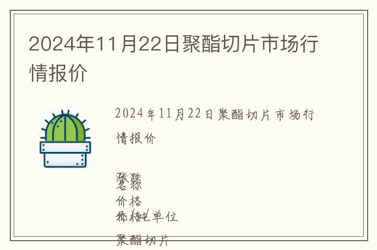 2024年11月22日聚酯切片市場行情報價