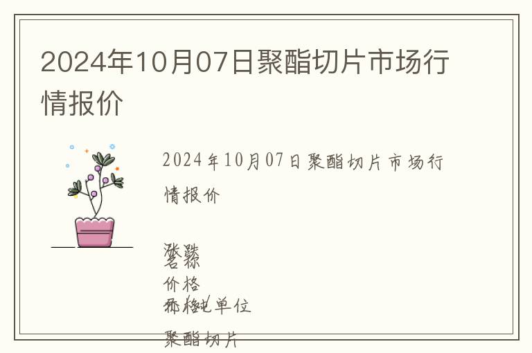 2024年10月07日聚酯切片市場行情報價