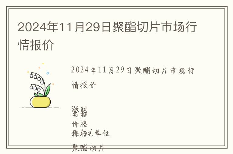 2024年11月29日聚酯切片市場行情報價