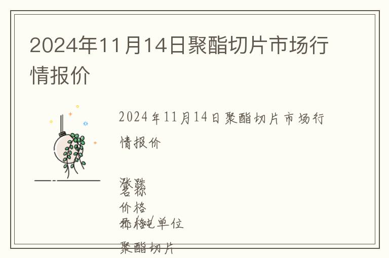 2024年11月14日聚酯切片市場行情報價