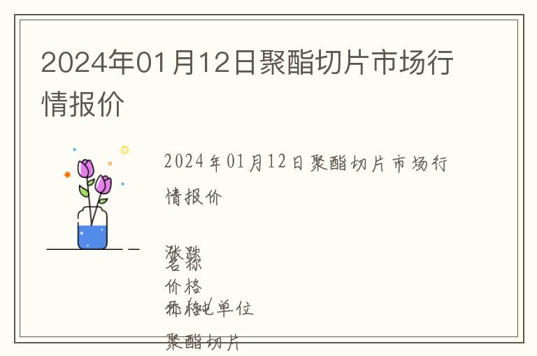 2024年01月12日聚酯切片市場行情報價