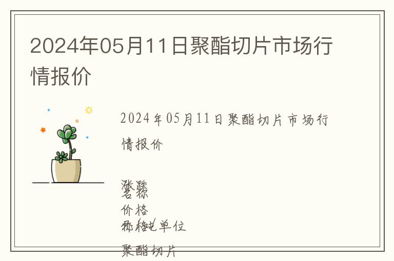 2024年05月11日聚酯切片市場行情報價