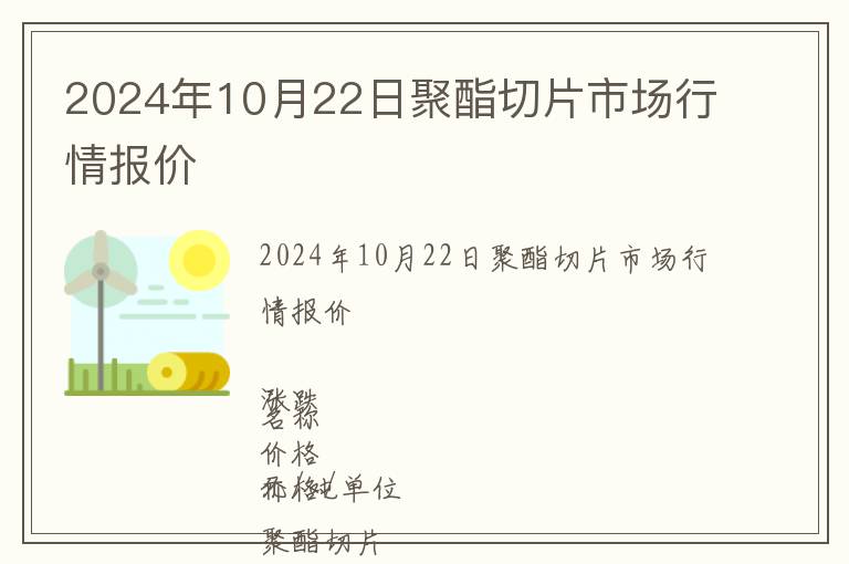 2024年10月22日聚酯切片市場行情報價