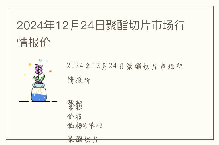 2024年12月24日聚酯切片市場行情報價