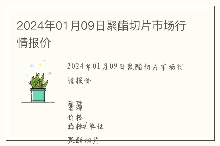 2024年01月09日聚酯切片市場行情報價