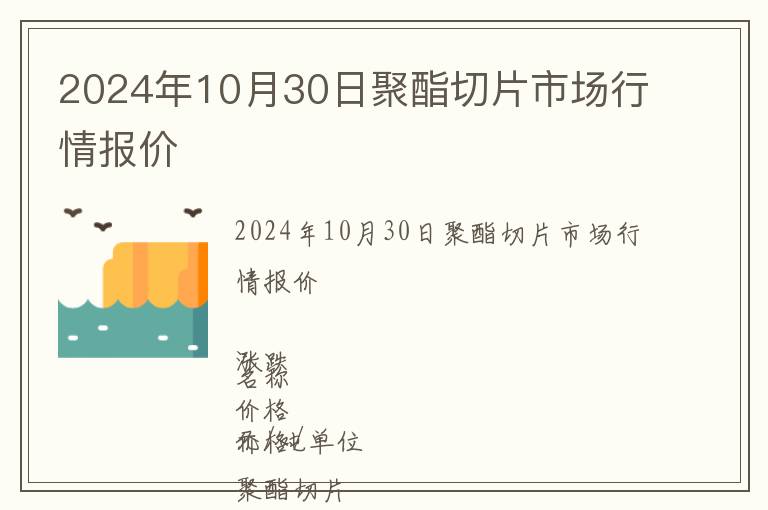 2024年10月30日聚酯切片市場行情報價