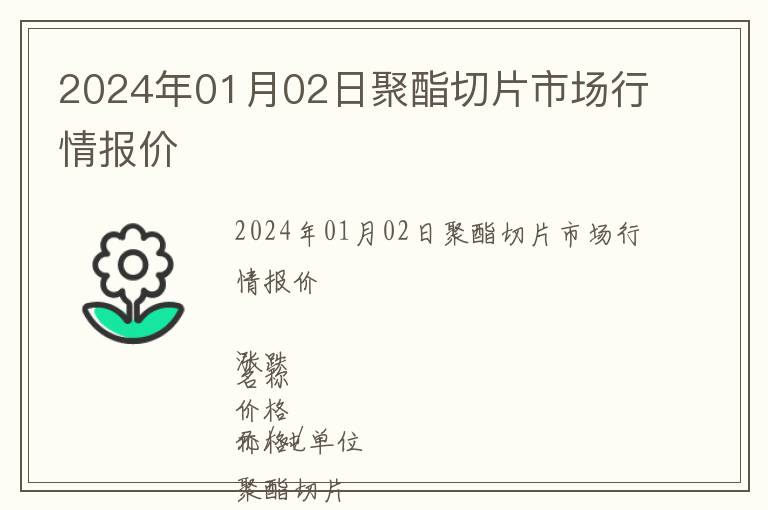 2024年01月02日聚酯切片市場行情報價