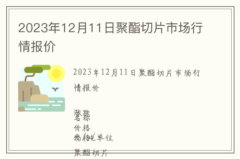 2023年12月11日聚酯切片市場行情報價