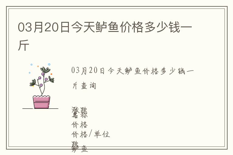 03月20日今天鱸魚價格多少錢一斤