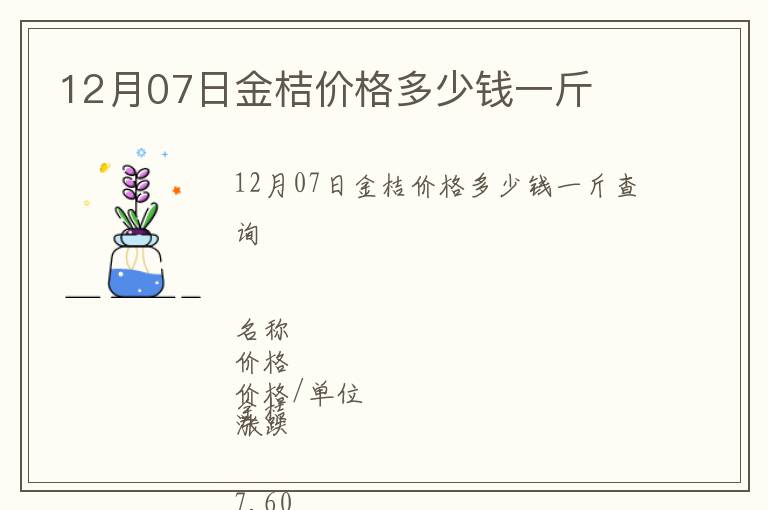 12月07日金桔價格多少錢一斤