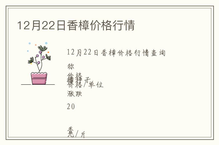 12月22日香樟價(jià)格行情