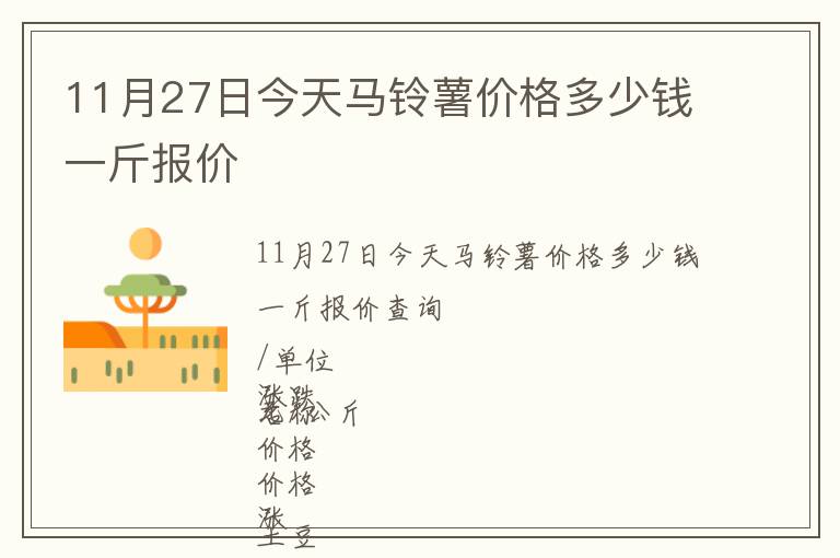 11月27日今天馬鈴薯價格多少錢一斤報價