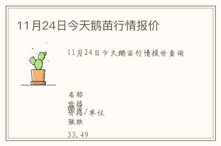 11月24日今天鵝苗行情報價