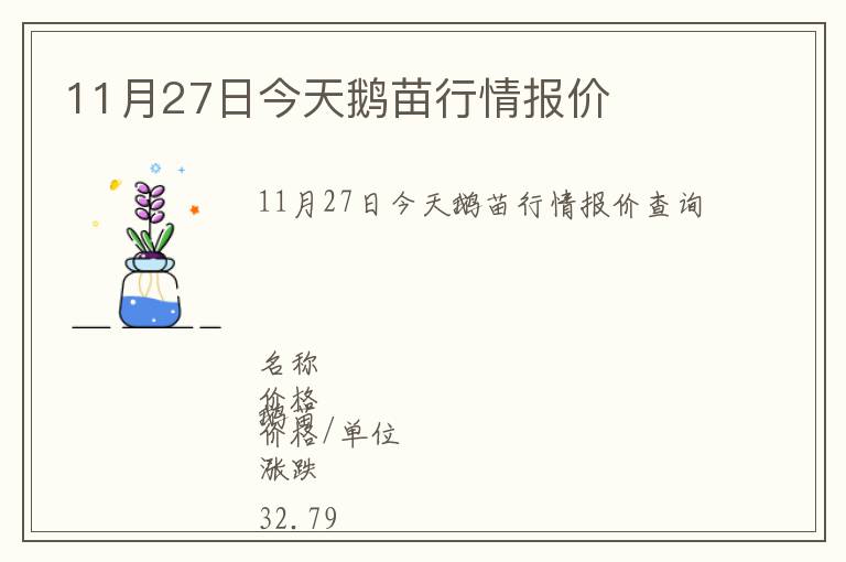 11月27日今天鵝苗行情報價