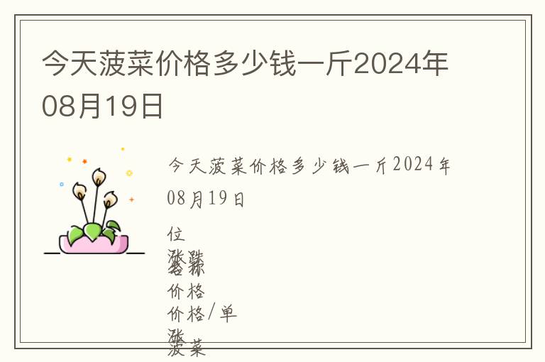 今天菠菜價格多少錢一斤2024年08月19日