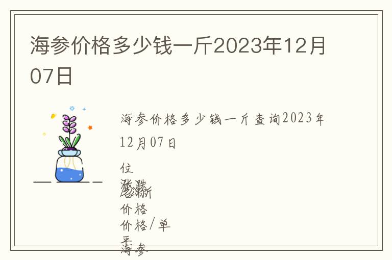 海參價格多少錢一斤2023年12月07日