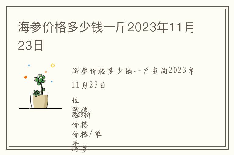 海參價格多少錢一斤2023年11月23日