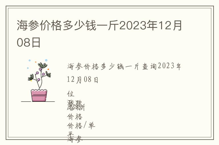 海參價格多少錢一斤2023年12月08日