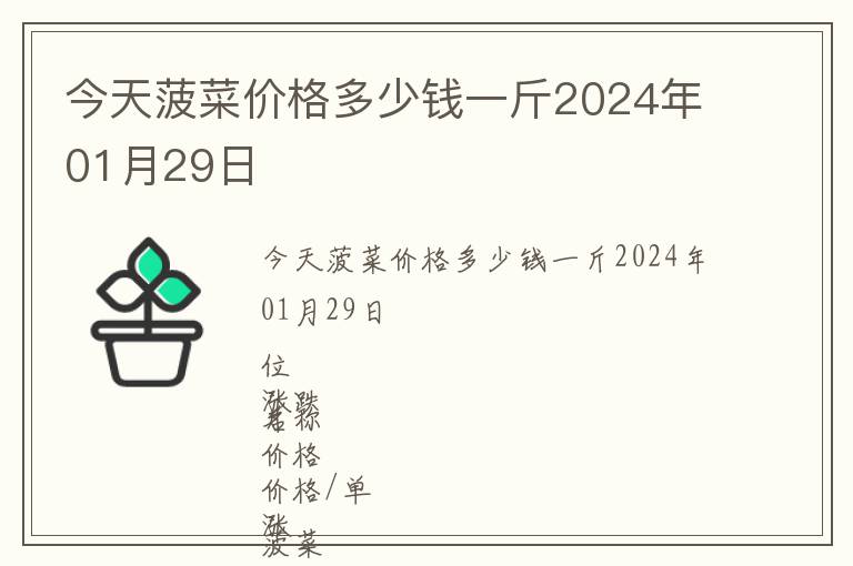 今天菠菜價格多少錢一斤2024年01月29日