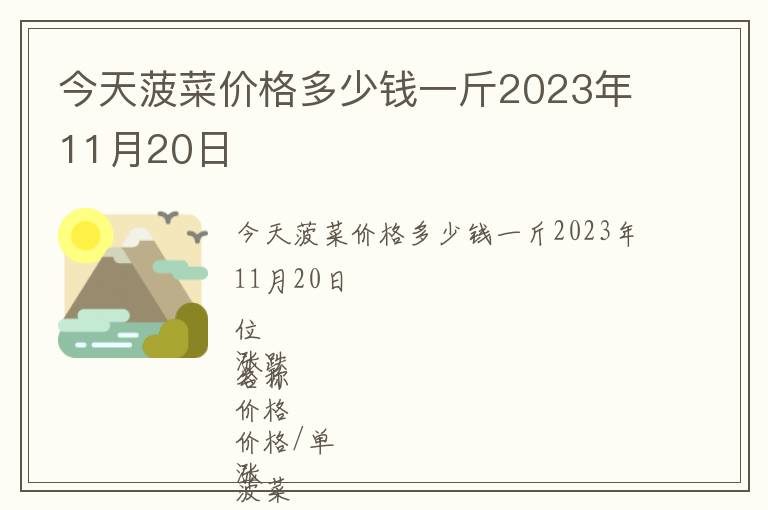 今天菠菜價格多少錢一斤2023年11月20日