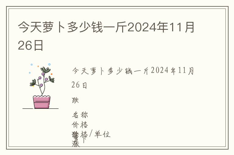 今天蘿卜多少錢一斤2024年11月26日