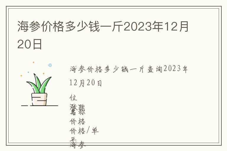 海參價格多少錢一斤2023年12月20日