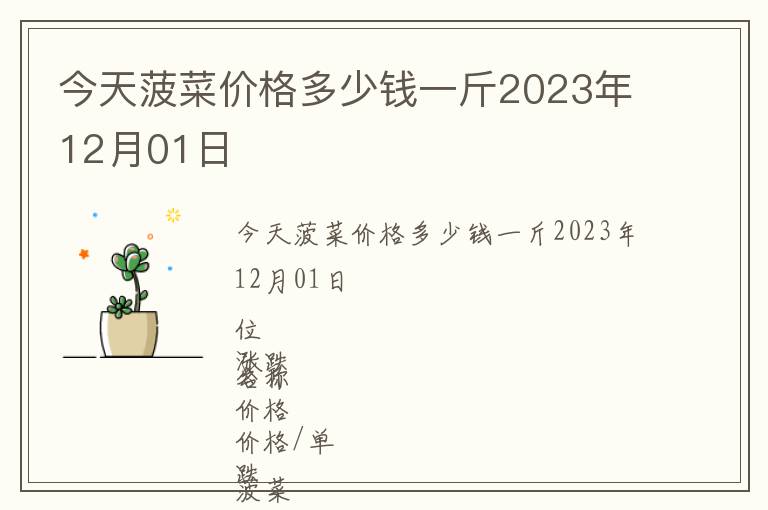 今天菠菜價格多少錢一斤2023年12月01日