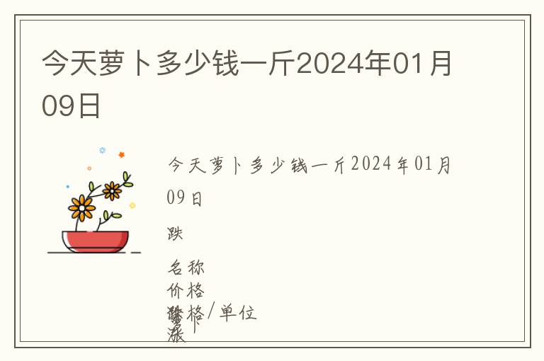 今天蘿卜多少錢一斤2024年01月09日