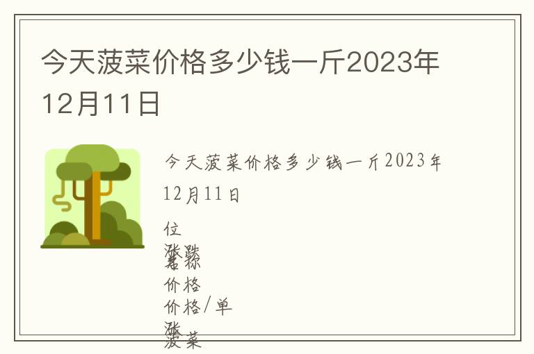 今天菠菜價(jià)格多少錢(qián)一斤2023年12月11日