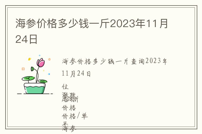 海參價格多少錢一斤2023年11月24日