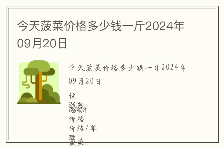 今天菠菜價格多少錢一斤2024年09月20日