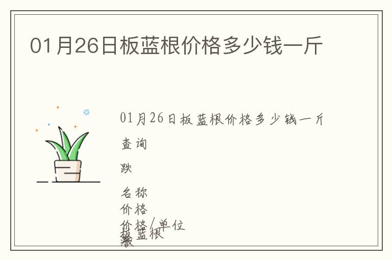 01月26日板藍根價格多少錢一斤