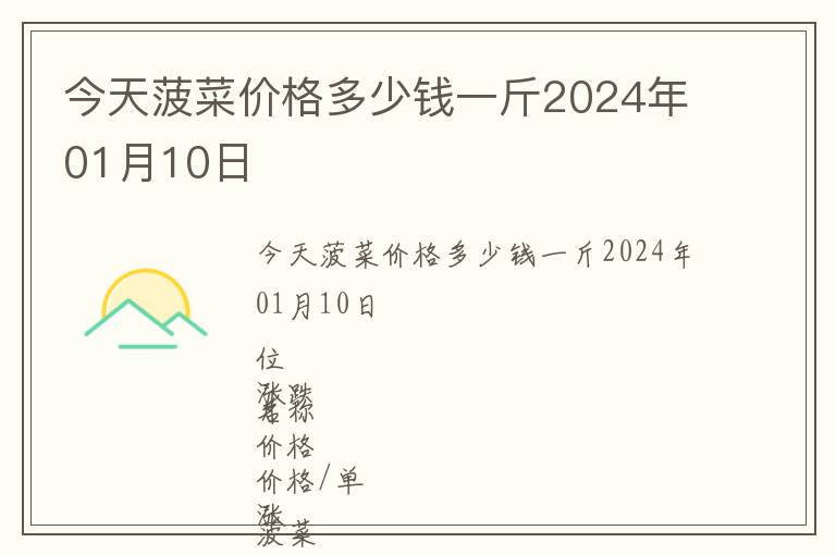 今天菠菜價格多少錢一斤2024年01月10日