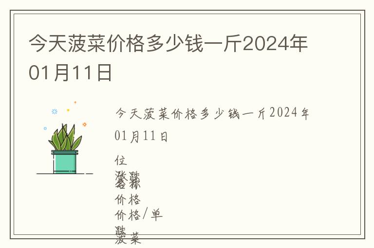 今天菠菜價格多少錢一斤2024年01月11日