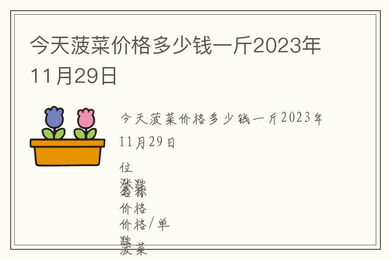 今天菠菜價格多少錢一斤2023年11月29日